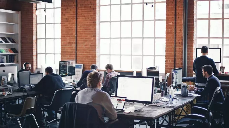 Как выбрать веб-студию в Петухово по кейсам