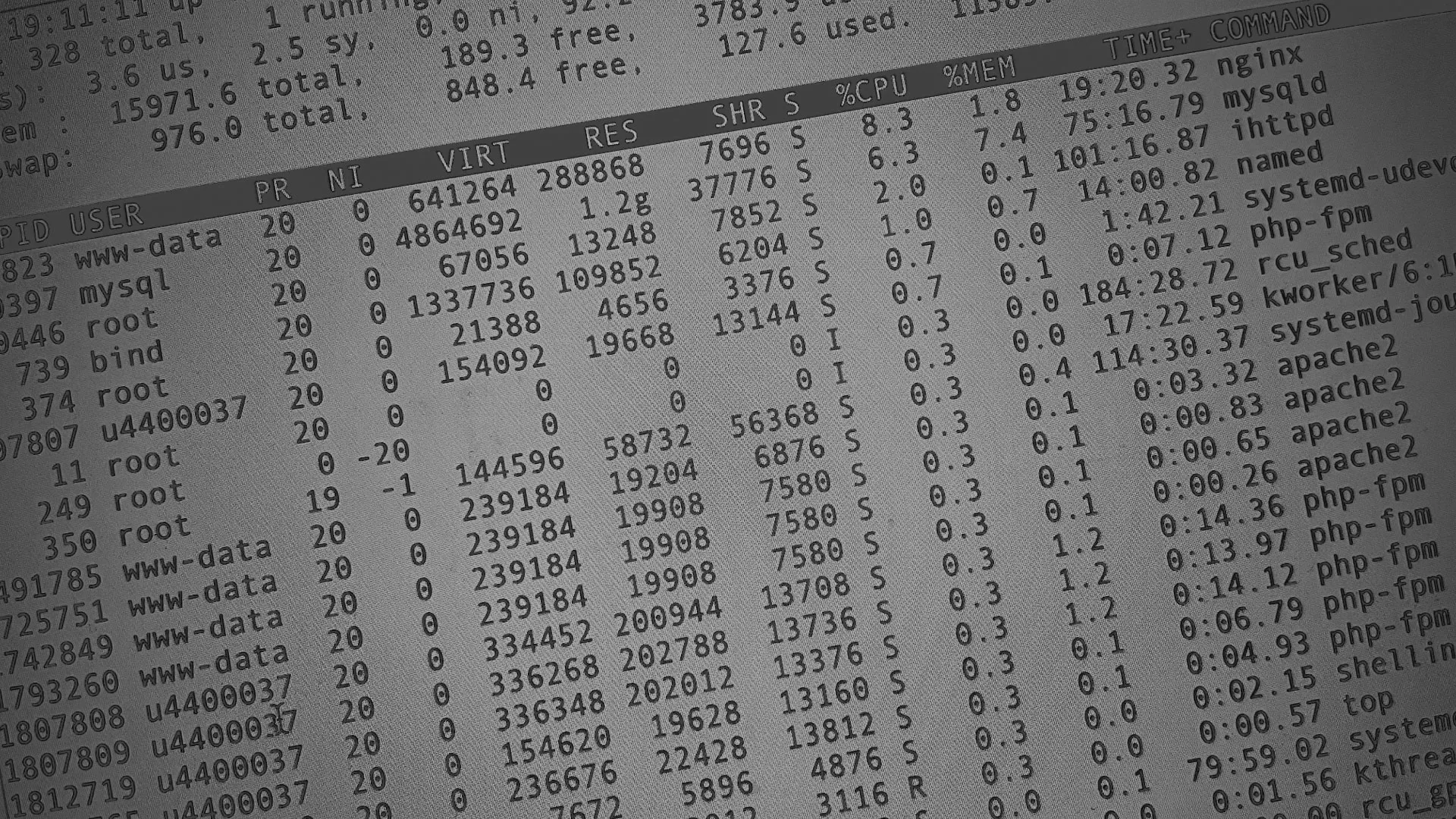 Настройка сервера в Петухово