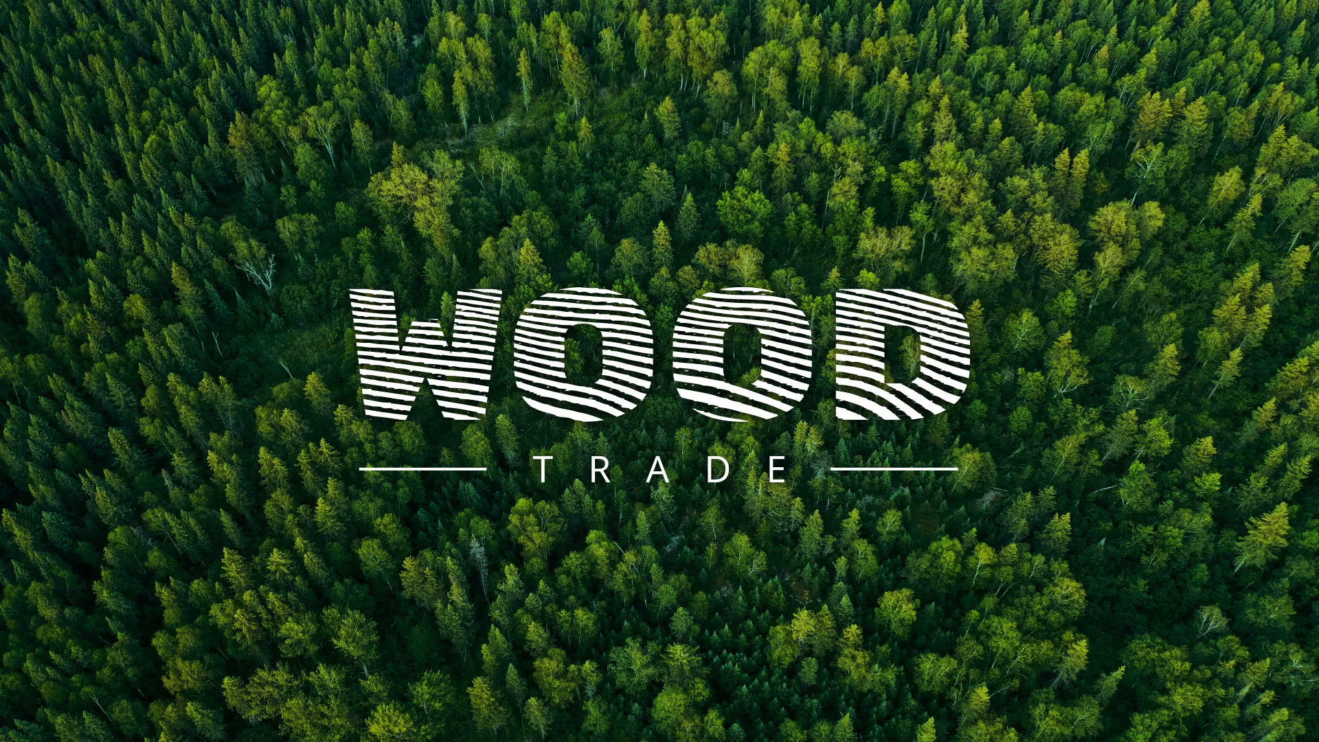 Разработка интернет-магазина компании «Wood Trade» в Петухово